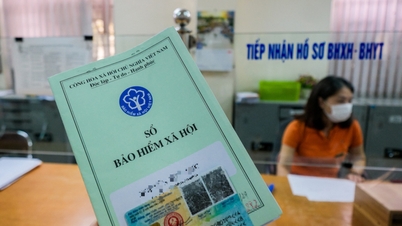 Міністерство внутрішніх справ прокоментувало пропозицію скоротити необхідний період сплати внесків до фонду соціального страхування до менш ніж 15 років для отримання пенсії.