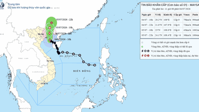 ハイフォンでは7月4日午後から突風（風速9～10）と激しい雨に見舞われた。