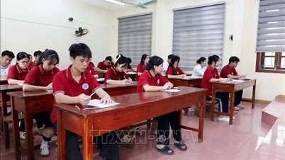 투옌꽝: 모든 만점 수학 시험지가 재검토를 위해 회수되고 있습니다.