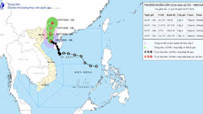 Laatste stormupdate: Tyfoon MAYSAK (Tyfoon nr. 1) bevindt zich op 145 km van Quang Ninh en zal naar verwachting verzwakken tot een lagedrukgebied.