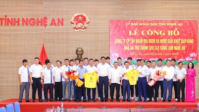O que o Grupo Hoanh Son tem para sustentar duas equipes de futebol simultaneamente?