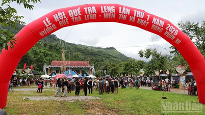 Da Nang: Aktiviti meriah di Festival Kayu Manis Tra Leng yang pertama.