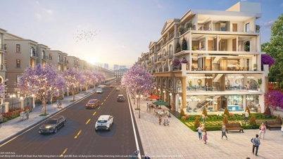 Shophouse Vịnh Xanh: Thiết kế tối ưu cho cả an cư lẫn thương mại