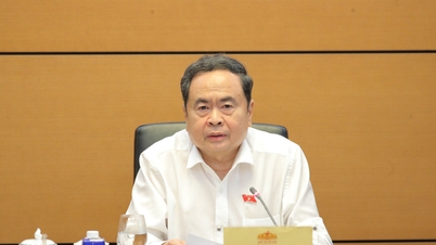 Der Vorsitzende der Nationalversammlung, Tran Thanh Man, unterzeichnete und verkündete die Resolution zur Gründung der Gruppe junger Abgeordneter der Nationalversammlung der 16. Legislaturperiode.