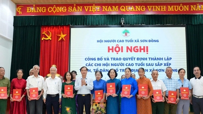 Son Dong commune reorganizes the Fatherland Front and mass organizations at the village and neighborhood levels after restructuring.