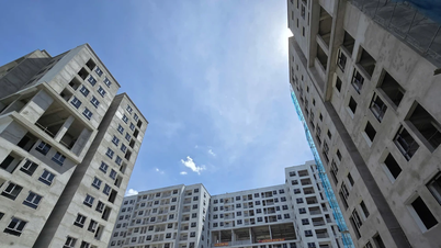 Hơn 3.600 người bốc thăm dự án nhà ở xã hội CT3 Kim Chung