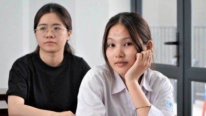 하띤성이 수학 만점(10점 만점) 비율에서 선두를 달리고 있는데, 교육계에서는 이에 대해 어떤 의견을 내놓고 있을까요?
