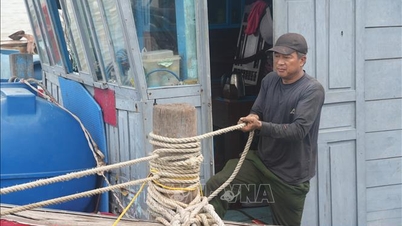 Thanh Hoa: Uppmanar båtar och fartyg att återvända till säkra hamnar för att undvika stormen och säkerställa säkerheten vid vallar och vallar.