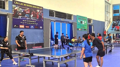 Na Regionálním sportovním festivalu bankovního průmyslu 10 soutěžilo 746 sportovců.