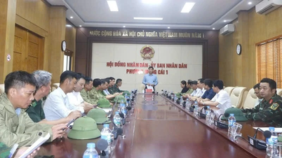 Quang Ninh: Mong Cai 1 وارڈ ٹائفون نمبر 1 کو فعال طور پر جواب دے رہا ہے۔