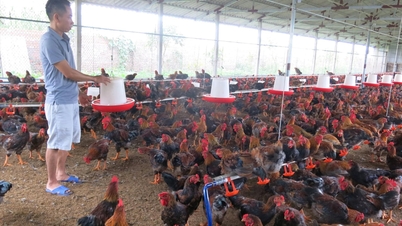 Tendința se îndreaptă către producția de animale bazată pe ferme.