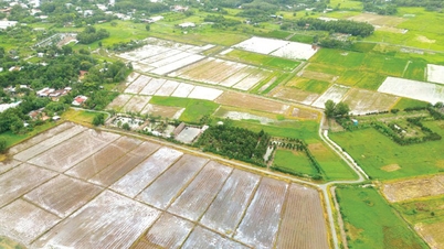 Adakah mungkin untuk menggadaikan hak untuk menggunakan tanah pajakan dengan bayaran tahunan?