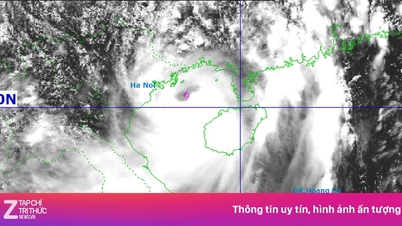 台風1号は勢力を増しており、クアンニン省のコトー経済特区に向かっています。