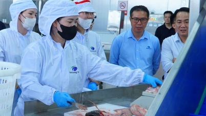 Bekalan bahan mentah yang stabil diperlukan untuk 'menyokong' kilang pemprosesan tilapia.