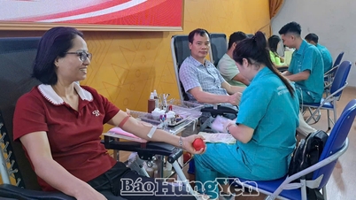 499 units of blood were collected at the voluntary blood donation event.