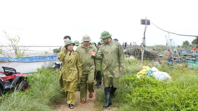 Quang Ninh: Omtrent 6.000 turister opholder sig stadig på øerne.