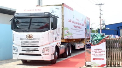 Costurile logistice pentru exporturile agricole au crescut dramatic, unele companii fiind nevoite să cheltuiască 22 de miliarde de VND pe lună.