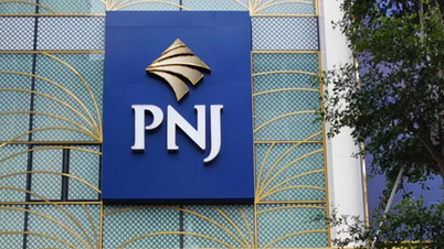 تستحوذ شركات كبرى مثل دراغون كابيتال وفينا كابيتال على عشرات الملايين من أسهم شركة PNJ.