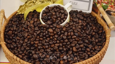 Exportações de café em 2026: Aumento da produção, mas dificuldades para aumentar o valor das exportações devido à queda acentuada dos preços.
