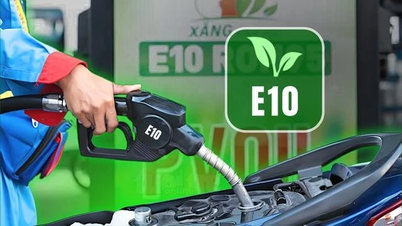มีสถานีบริการน้ำมันเกือบ 1,600 แห่งที่จำหน่ายน้ำมัน E5 และเอทานอลกว่า 70% สำหรับน้ำมัน E10 ต้องนำเข้าจากต่างประเทศ