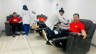 Drops of red blood - Warmth of solidarity between Vietnam and Venezuela