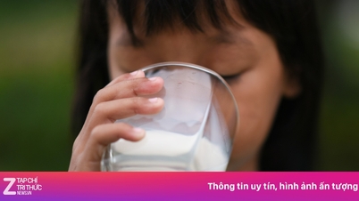 Aliments à éviter lors de la consommation de lait.