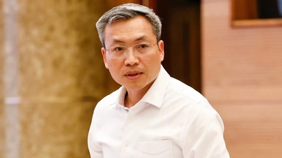 휴가 계약 사기 사건으로 500명 이상의 피고인이 기소되었습니다.