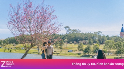 Une année de transformation pour l'industrie touristique dans la plus grande province du Vietnam.