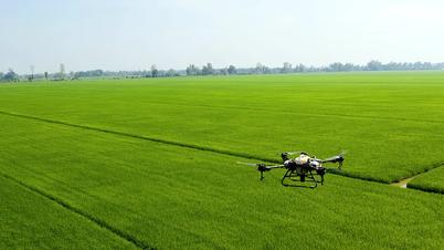 Renforcement de la protection des cultures de riz d'été-automne pendant la saison des pluies et des orages.