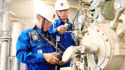 Phát triển nguồn nhân lực lĩnh vực tiêu chuẩn, đo lường, chất lượng
