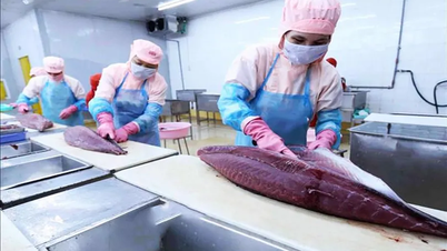 Les échanges commerciaux entre le Vietnam et Israël visent 4 milliards de dollars.