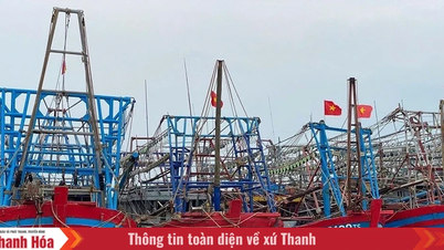 5627 båter og skip i Thanh Hoa-provinsen har trygt ankret for å unngå tyfon nr. 1.