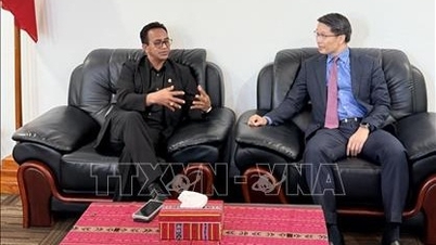 Vietnam and Timor Leste promote cooperation in law, justice, and digital transformation.
