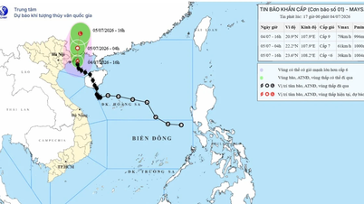 最大瞬間風速がレベル11に達する台風1号が、クアンニン省沖の海域に入った。
