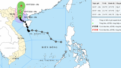 Quang Ninh, Hai Phong a Hung Yen byly přímo zasaženy cirkulací tajfunu č. 1.