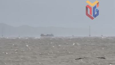 Ομάδες έκτακτης ανάγκης αναπτύσσονται επειγόντως για να διασώσουν δύο πλοία που παρασύρονται στα νερά ανοιχτά του Μούι Νγκοκ.