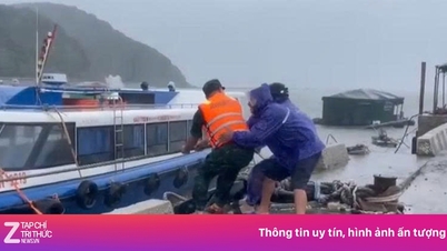 Kraftig vind rev tagene af på mange huse i Mong Cai, Quang Ninh.