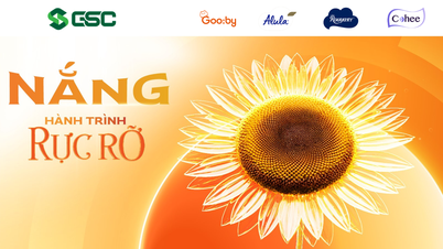 "Sunshine - A Brilliant Journey" spreads love and creates sustainable development values.