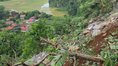 Deslizamentos de terra em altas montanhas destruíram centenas de pés de fruta-do-conde na província de Lang Son, pouco antes da colheita.