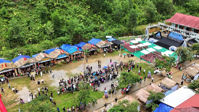 দা নাং প্রথমবারের মতো ট্রা লেং দারুচিনি উৎসবের আয়োজন করছে।