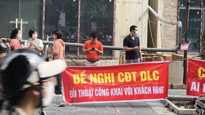 Weinig bekende feiten over de eigenaar van het prestigieuze grondproject in Hanoi, die onlangs te maken kreeg met protesten van bewoners die hun huizen terug eisten.