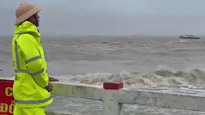 Reddingspogingen zijn gaande voor twee schepen die tijdens tyfoon nummer 1 op zee zijn afgedreven.