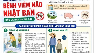 Proaktivní opatření k prevenci japonské encefalitidy během období dešťů.