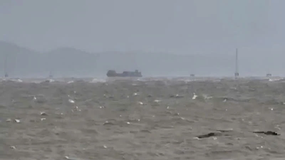 Quang Ninh: Trwają pilne akcje ratunkowe dwóch statków dryfujących na morzu.