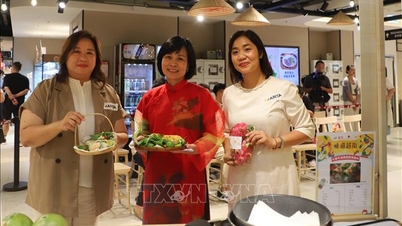 La comida vietnamita conquista a los consumidores de Hong Kong (China).