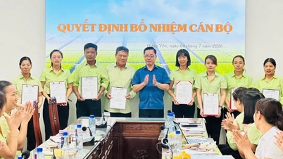 ThaiBinh Seed Crop Research Institute przekroczył wiele celów.