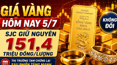 Harga emas hari ini, 5 Julai: SJC, BTMC, DOJI, PNJ kekal tidak berubah.