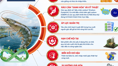 The fisheries sector is emerging as a "green pillar" of Vietnam's agriculture.
