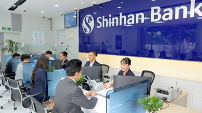 A filial Phu My do Shinhan Bank não implementou integralmente a redução da taxa de juros conforme determinado pelo Governador do Banco Central do Vietnã.