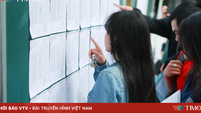 Dùng IELTS quy đổi điểm xét tuyển có được nhận học bổng Chính phủ?